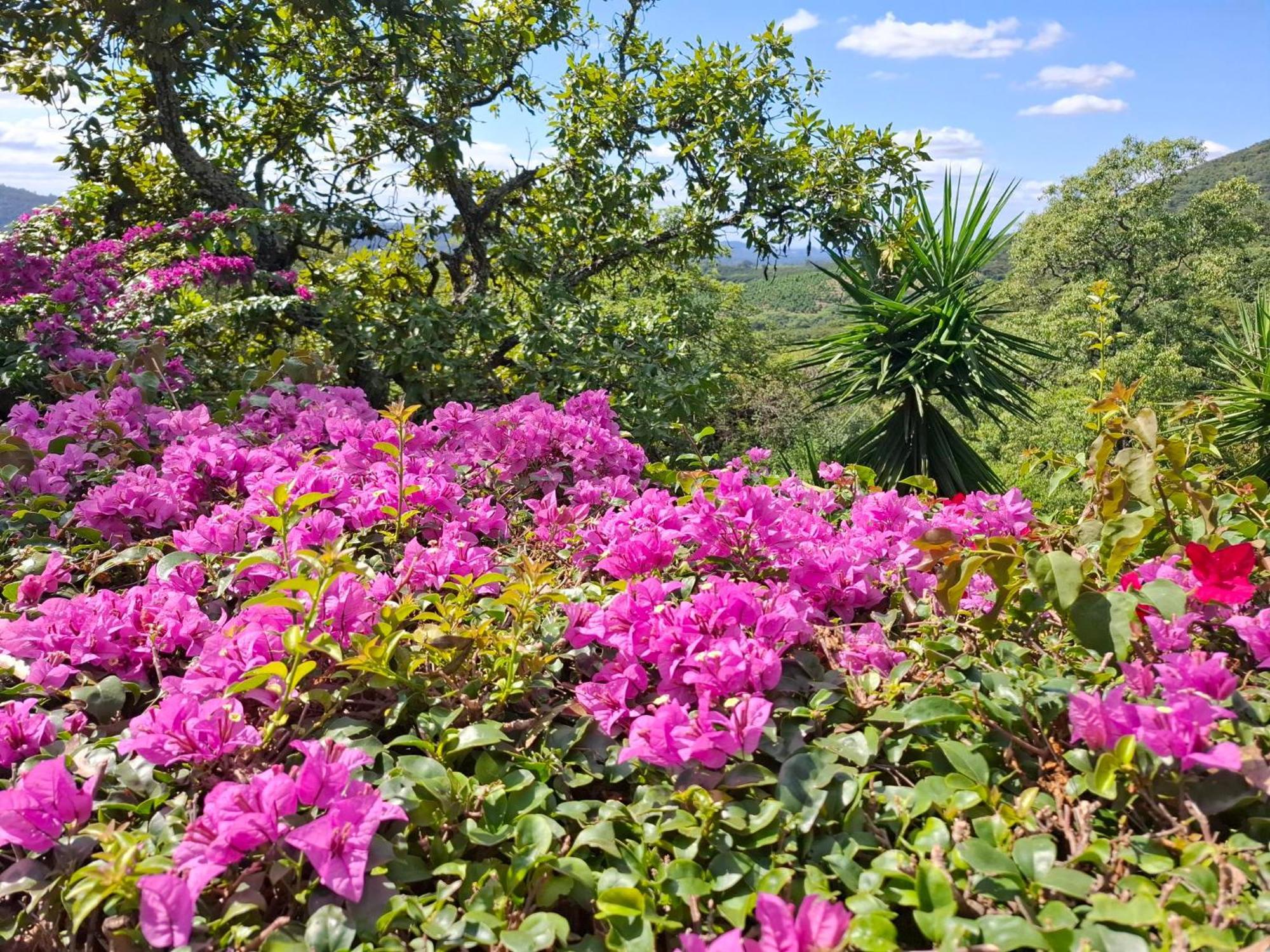 Chestnut Country Lodge Hazyview Εξωτερικό φωτογραφία